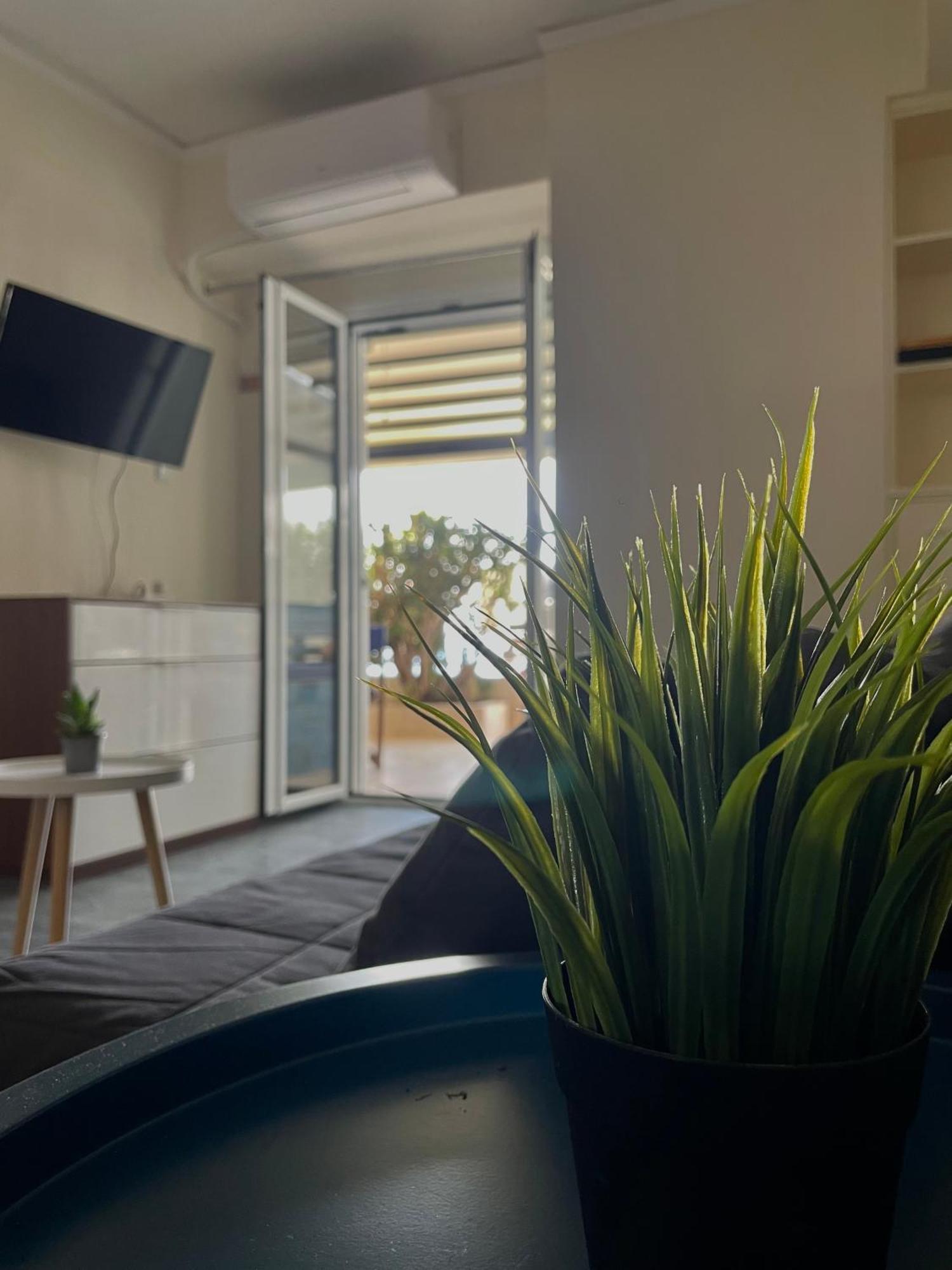 Sea La Vie - Beachfront Retreat 路特奇 外观 照片